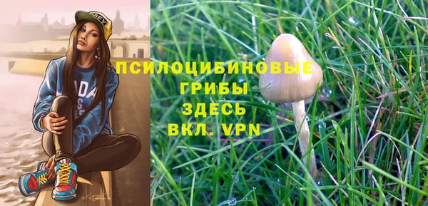 круглые Алапаевск