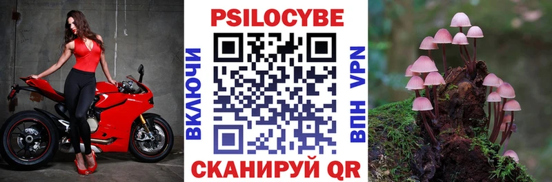 магазин продажи наркотиков  Тбилисская  Галлюциногенные грибы мицелий 